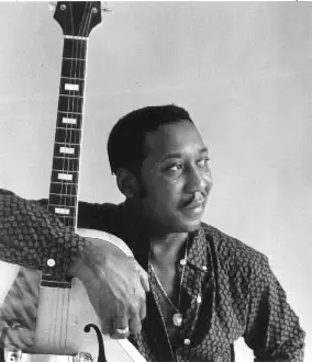 Muddy Waters Mississippi Blues Guitar