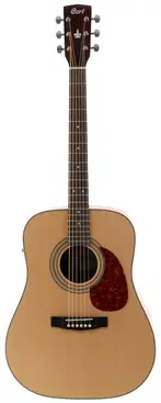 Martin 6 String Acoustic Guitar Tuning